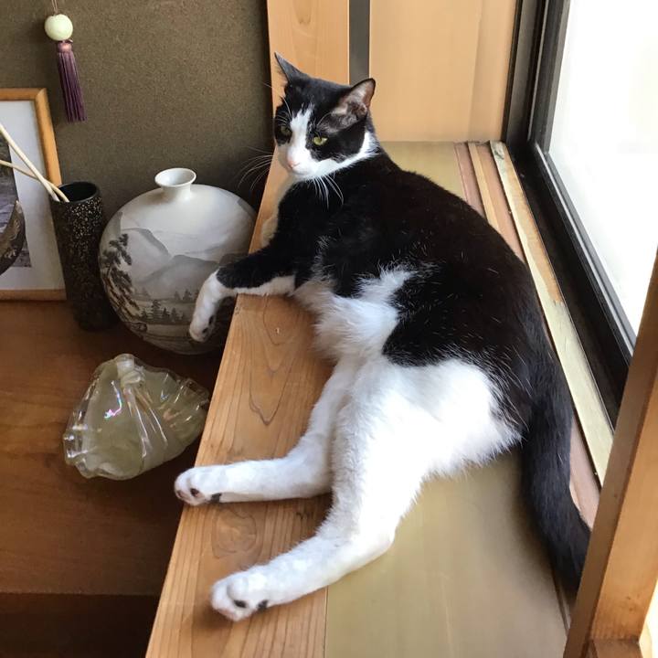 Dc41be63 c218 4f08 8f9f e5336fca15c1 1715847199604