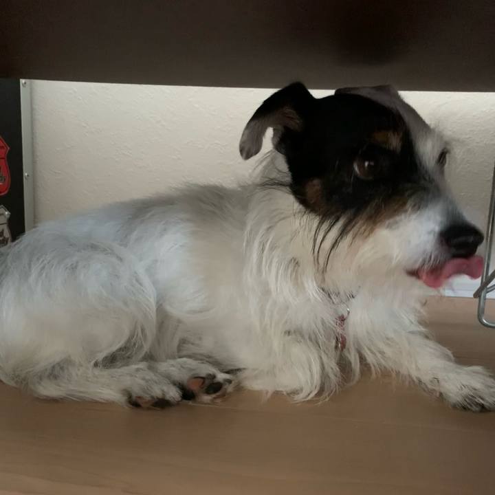 Dc41ef70 ffeb 4bfe 9070 3043e00a4e62 1690868292263