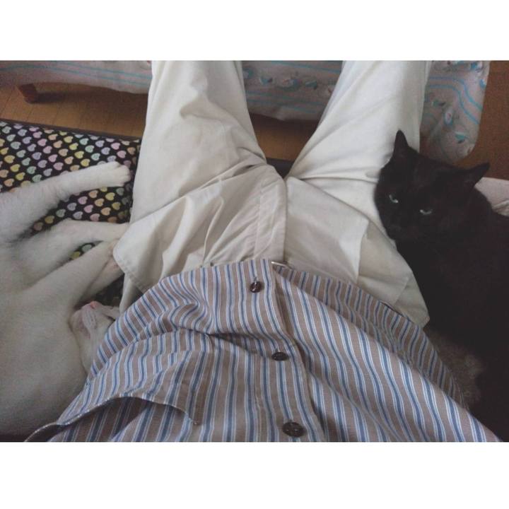 Dc41ef75 6ee0 4c02 8143 90d2739302f5 1689167099681