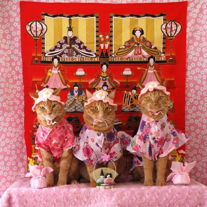 Dc41f40d 49e9 42cb 89bf 391b63d2e674 1772523133800