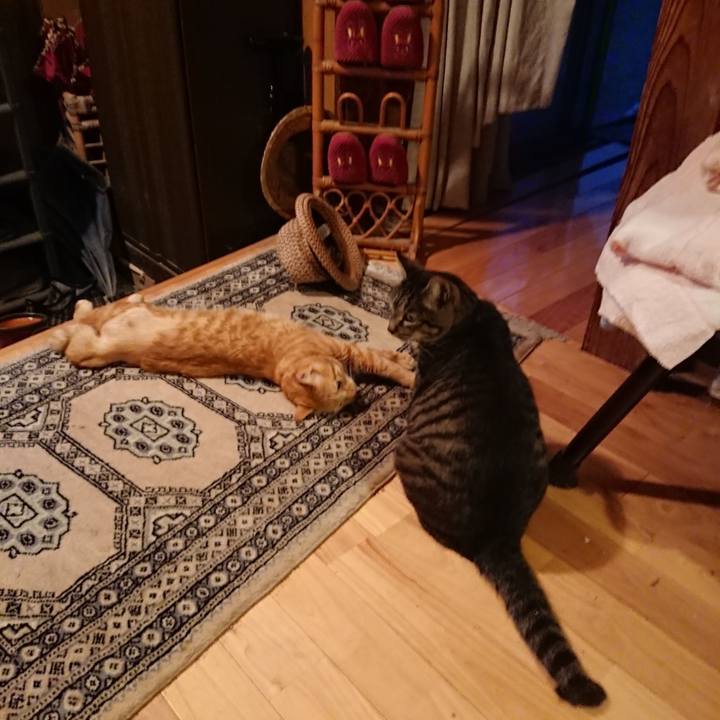 Dc420e73 0e63 4306 a669 a54865da2228 1656850014930