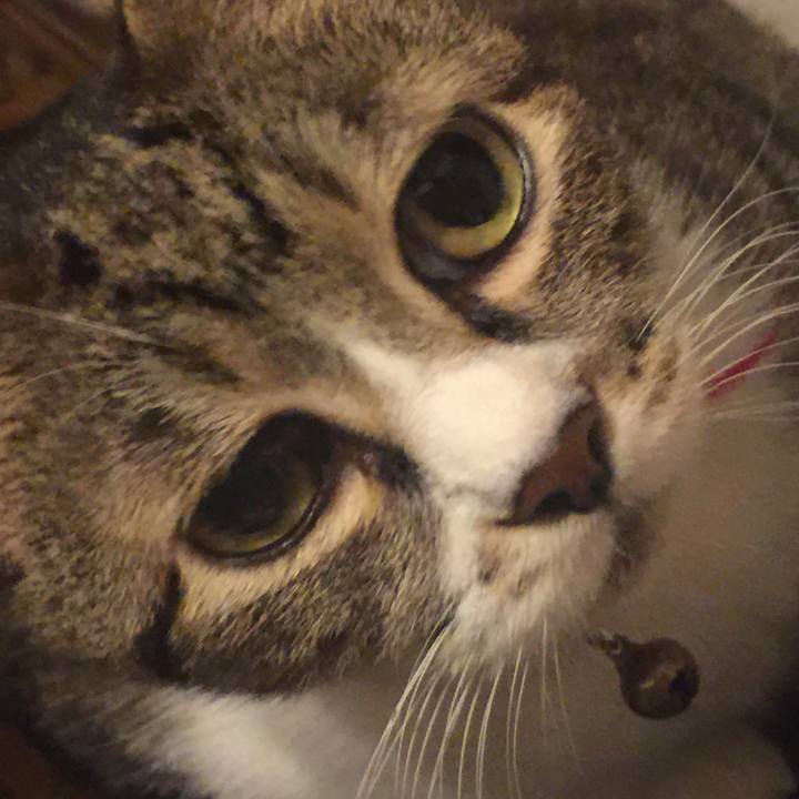 Dc421ef4 b686 4ba7 abf7 343f526c66ea 1570351678076