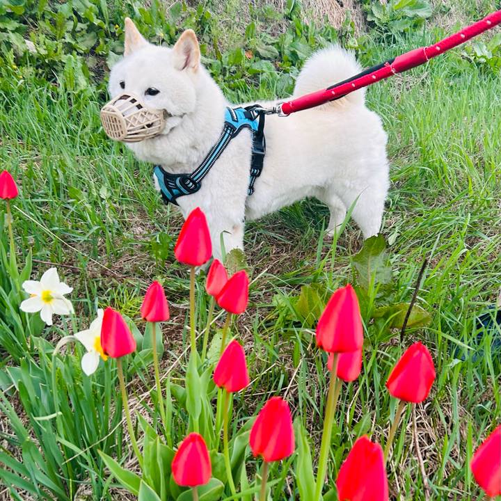 Dc427aef b94c 432f 803b c6e20d1e3d6c 1683579980940