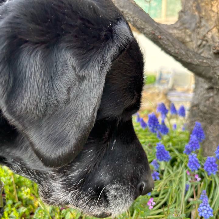 Dc42e68f 994b 4262 8b00 150b1fcb27e7 1774351000184