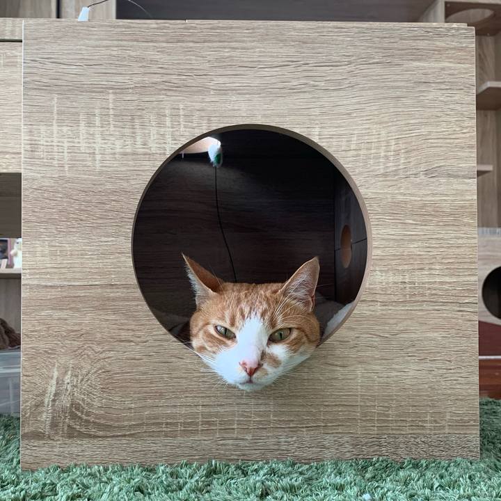 Dc4301e9 e84f 45e8 9cde 85fd461e63f9 1601330687863