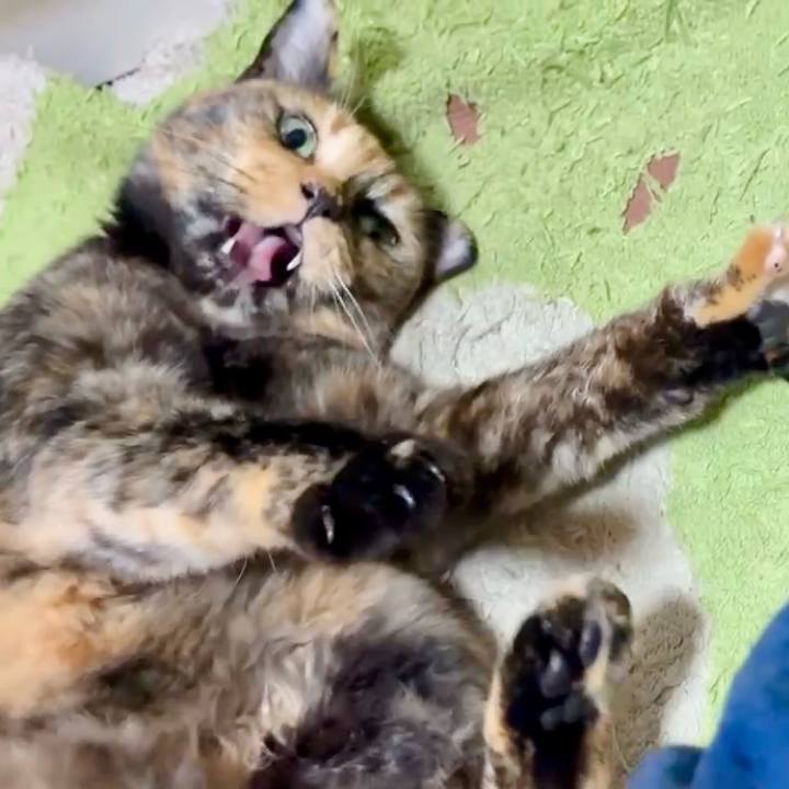 Dc4305d6 e458 430d b667 4f236d835c15 1753219105201