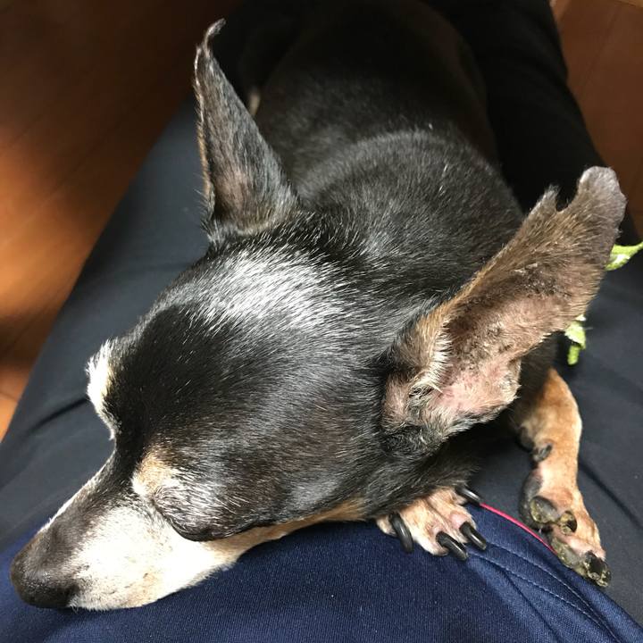 Dc4308a1 cbe5 4f95 90b9 afd723f0675d 1538396182125