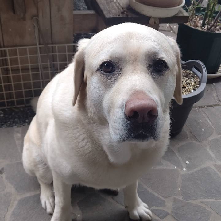 Dc4329b5 e2f4 485b 873c d1f314d6d811 1647567896700