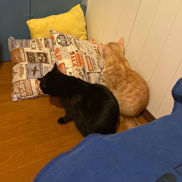 Dc43320c ad7f 46c7 b0aa d1590ad90499 1635634954732