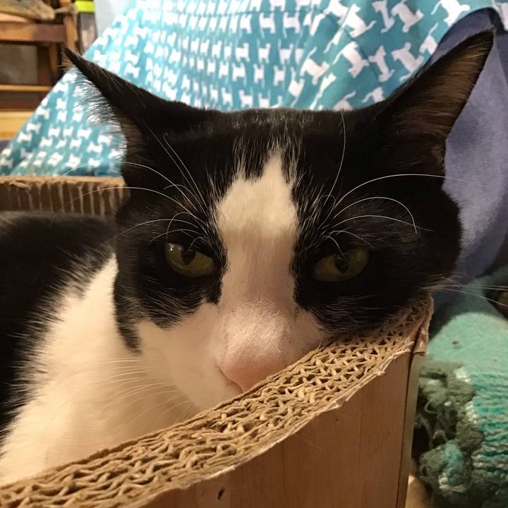 Dc433f84 2044 4752 948c ae12c408dc1e 1744016641386