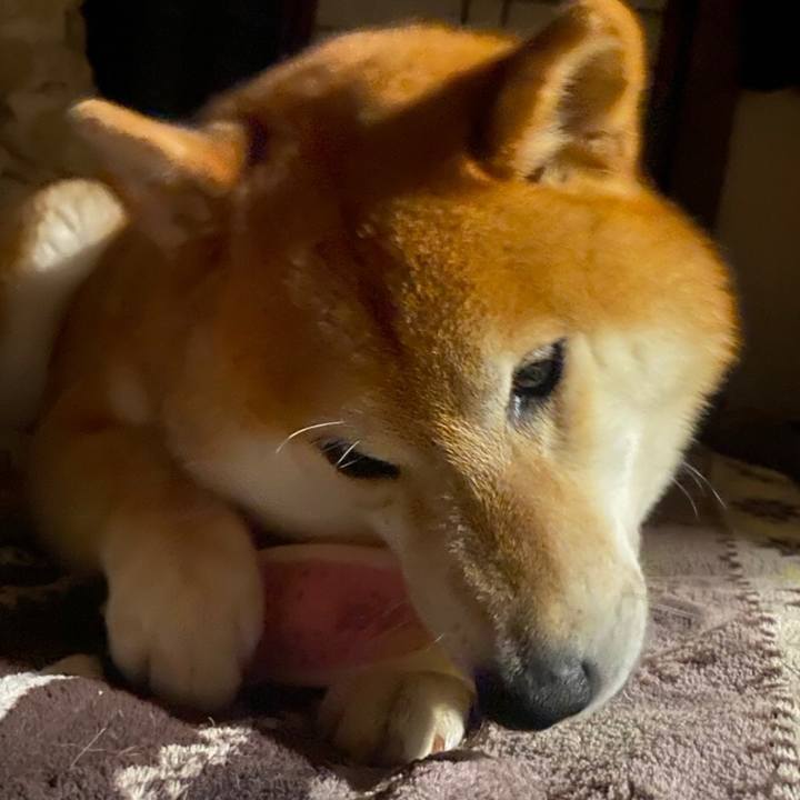 Dc4348f3 beb3 4c5a ab26 61be8fa94244 1630209854512