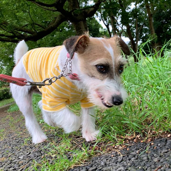 Dc4355cd e188 4ffc 8e5a d4ec6520688c 1593075141732