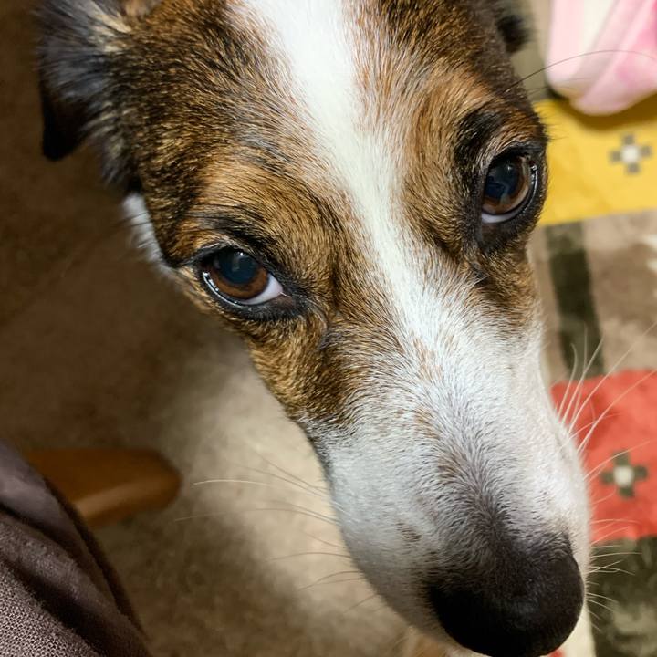 Dc4360db ec89 4e53 8e56 0119cc2b013b 1582369404367