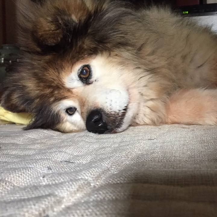 Dc4386f0 00c3 40a8 b381 23f81ea32404 1557648891298