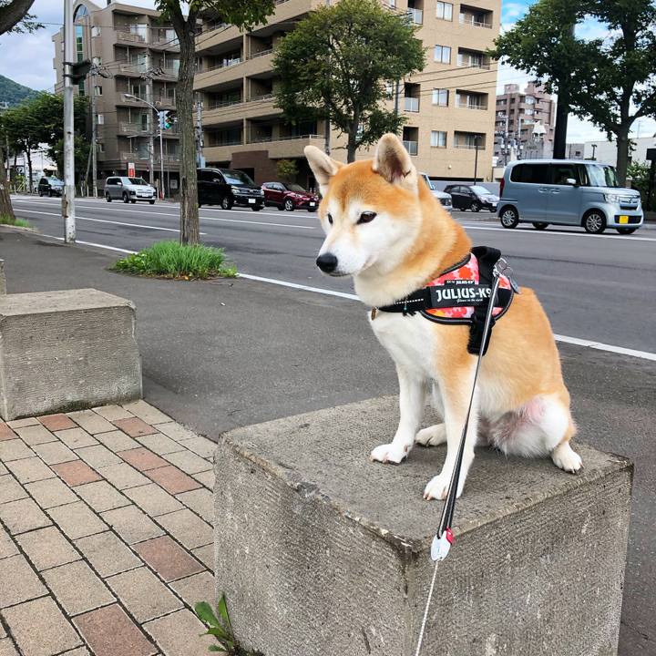 Dc439b3d 4f1b 4a9e 83a4 5d509e6c2a8f 1600134069120