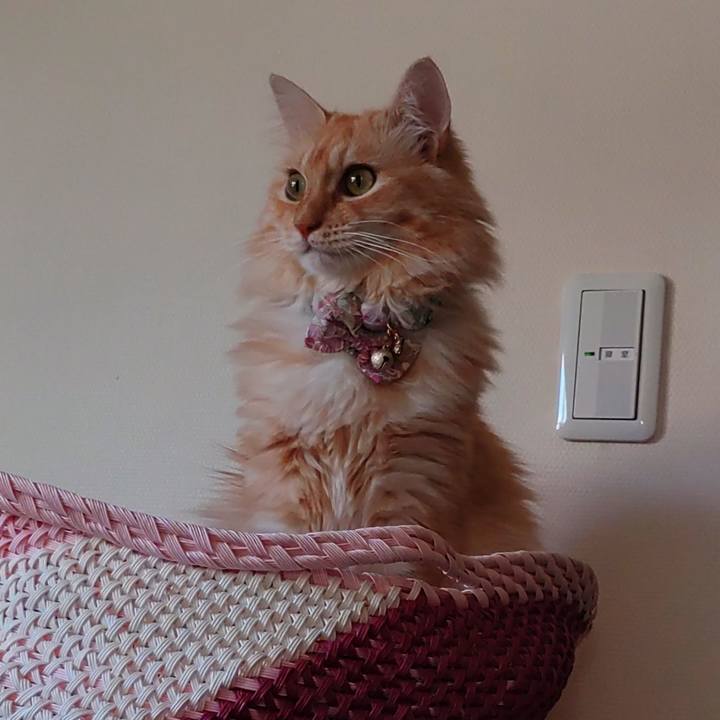 Dc43f8d6 8a30 4743 aa69 38dc3e96d000 1664092301971