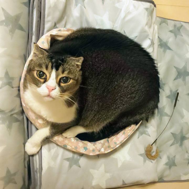 Dc4401fa ca98 47cc 9d8b 2264856e8a2d 1723645104780