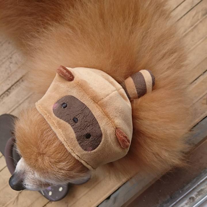 Dc44580c 0185 4ceb aff5 81454296bde6 1522534140303