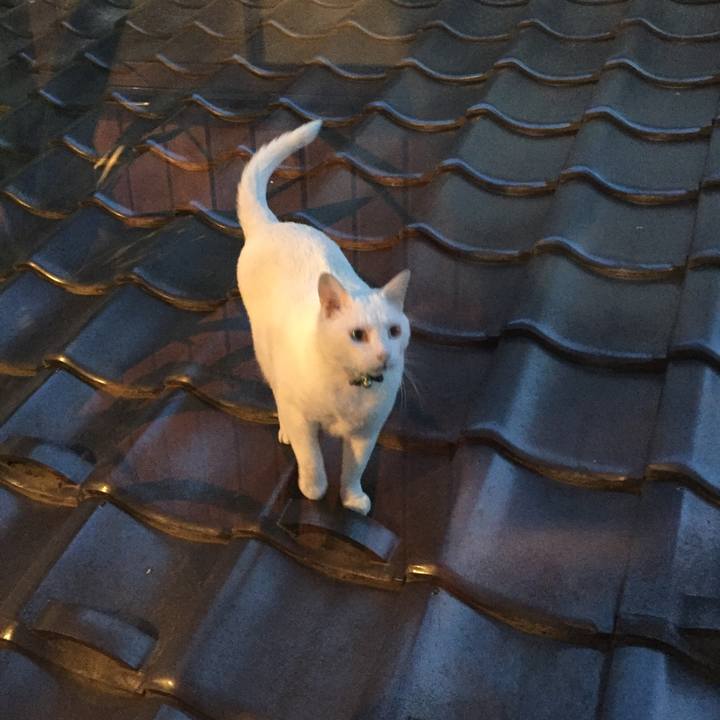 Dc447e62 d961 4be7 9c1f 1c05e0d59fef 1524753027187