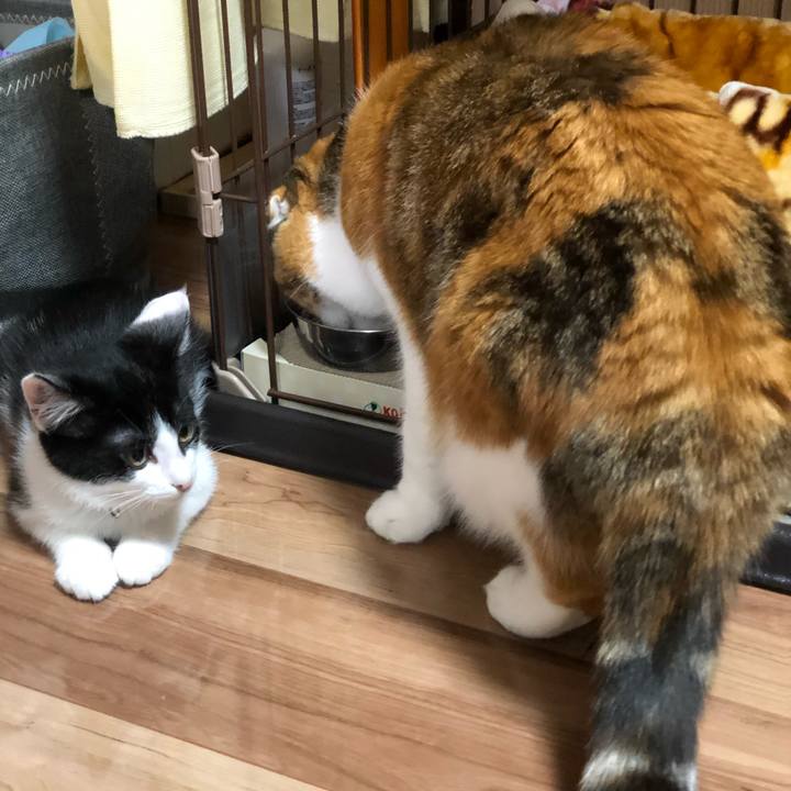 Dc44926b 17d8 4adf 970b 4956efe76346 1611407839607