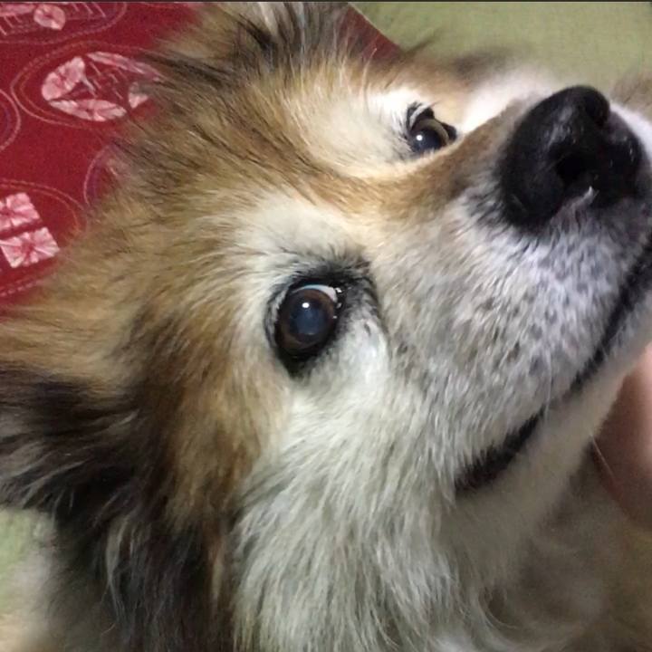 Dc44ae16 2f6f 40e0 af89 7cd14ee208be 1580301852778