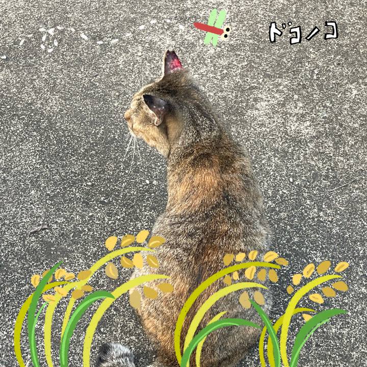 Dc44bafe 2578 4070 8f13 b21f4467fcae 1761348239808