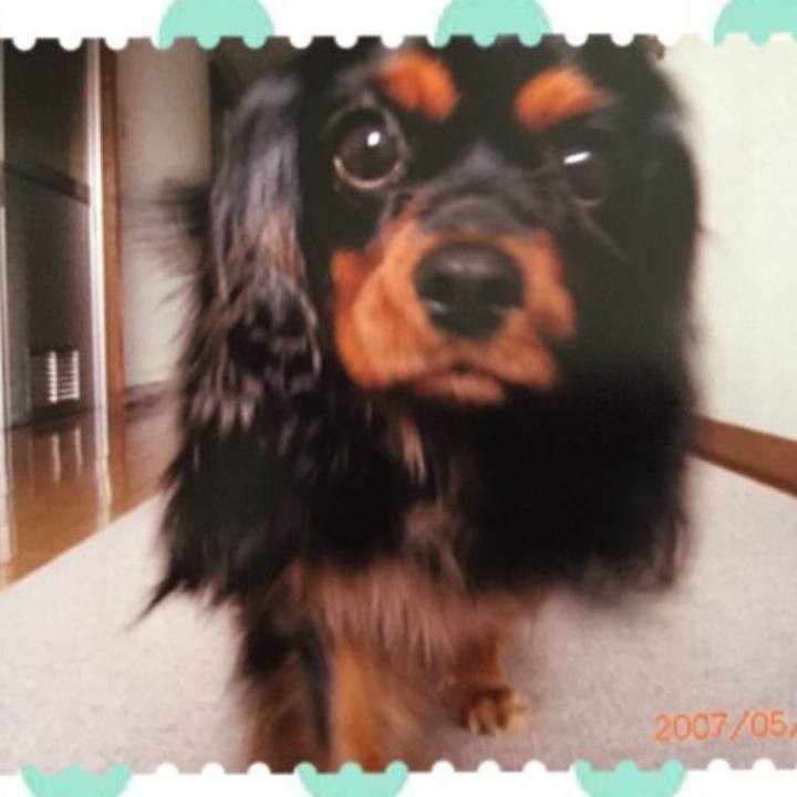 Dc44e497 806c 4e4d 85ab 4033297606d9 1508377567194