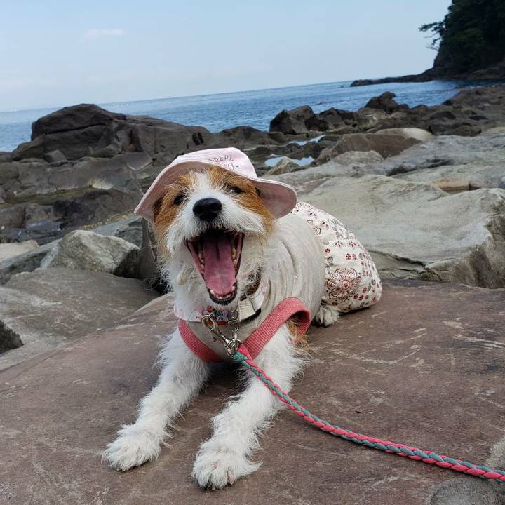 Dc44fd34 aa97 4e1a a210 9308241e6378 1601611069646