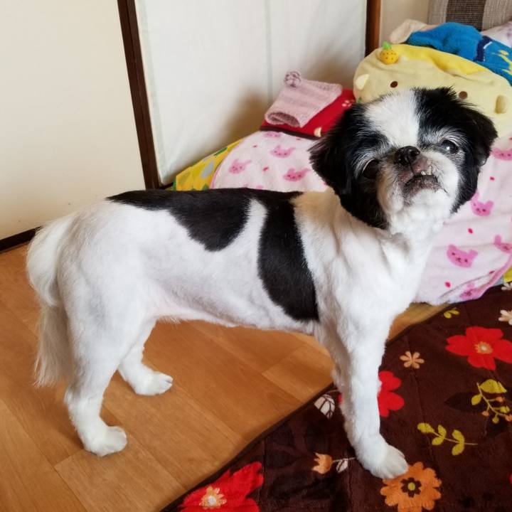 Dc450435 bf84 467e b80a 6dcfc6b94bbe 1583054338858