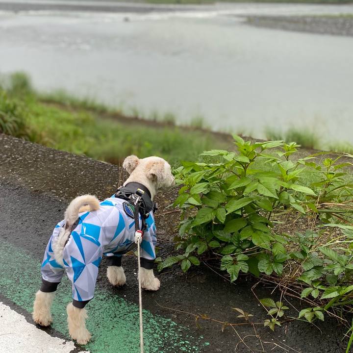 Dc45303e 5221 4d4b 88cc 79061f79ebe7 1596197967268