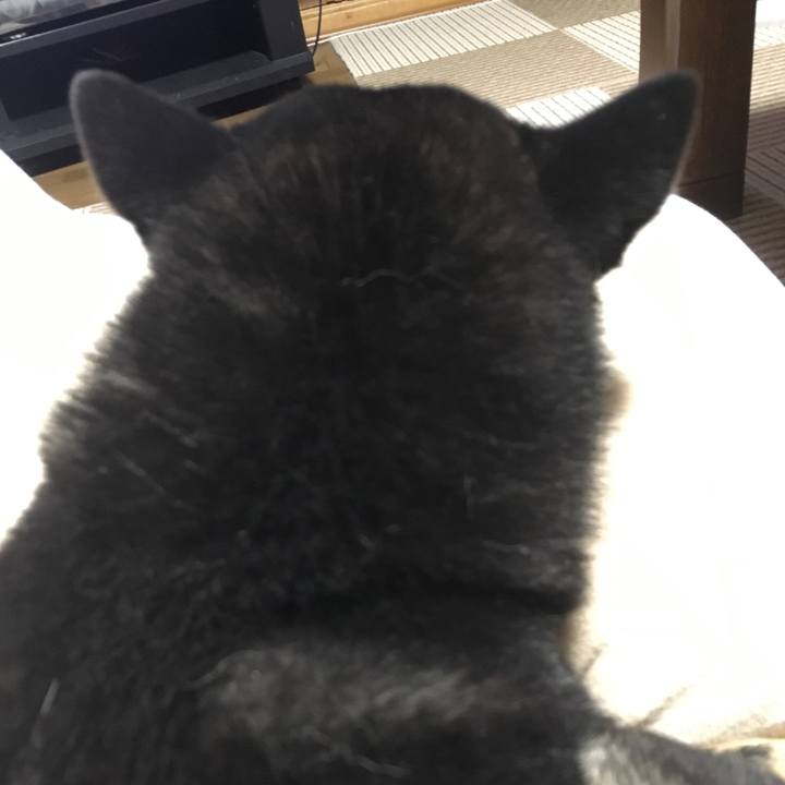 Dc453873 9c5d 4b30 b031 bf0ded0ad98e 1510479752037