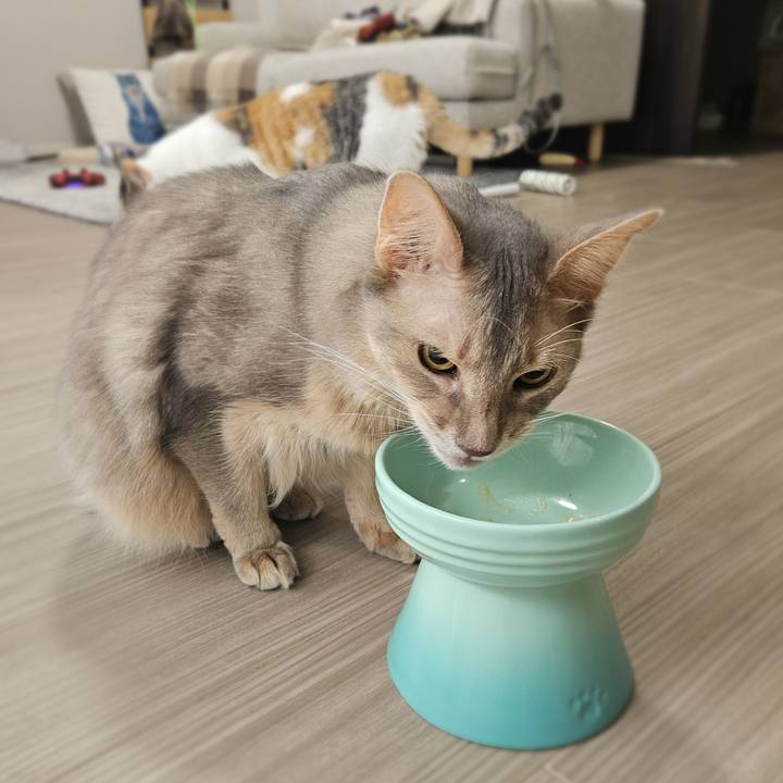 Dc456d42 f992 4ba9 b4a8 208d015feb6e 1765018836075