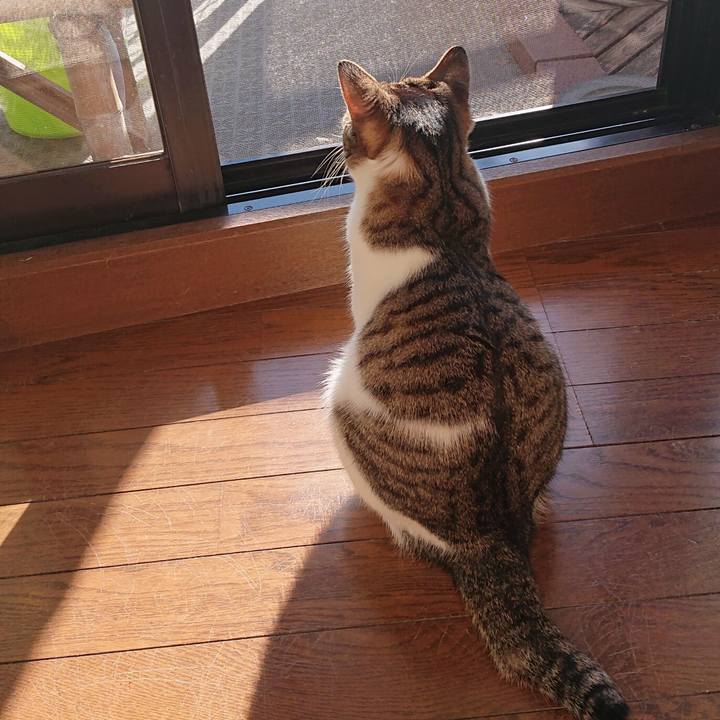 Dc45cb68 1115 469c 8418 744335ef1b06 1576480676239