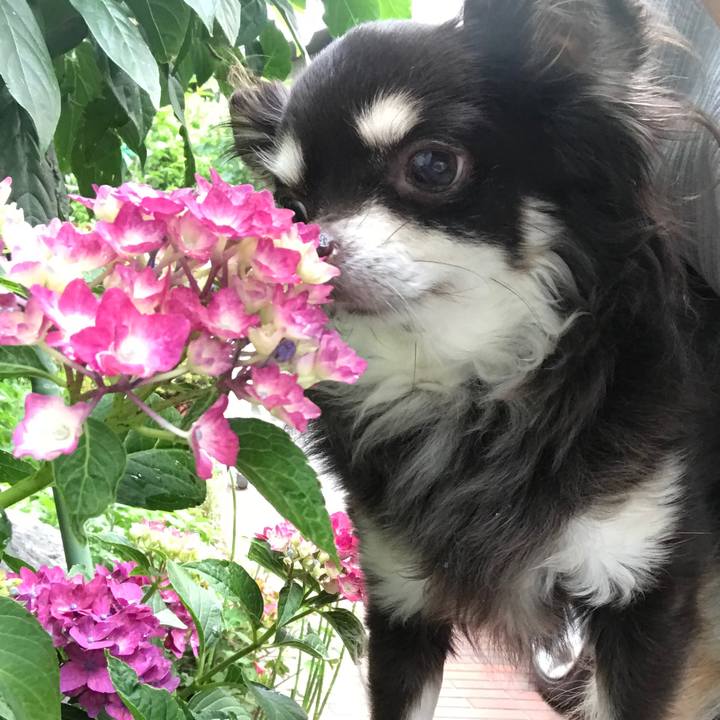 Dc45de94 1288 466c ae92 c1db4de8a134 1527727691892