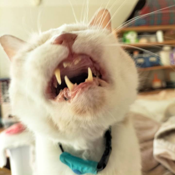 Dc45ede5 80de 4fb5 a64a 5deaf105ea63 1673477337950