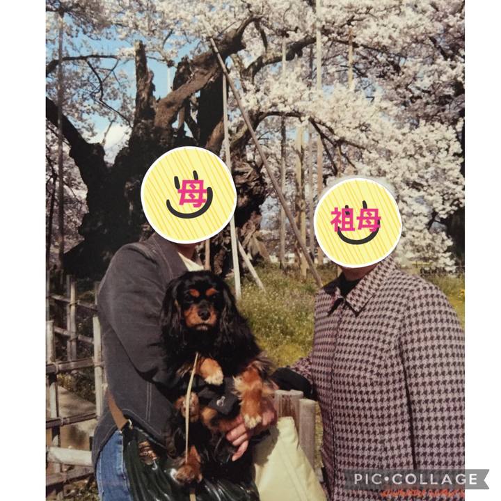 Dc46062f a962 4d96 b78f 1754a3abe062 1616483095927