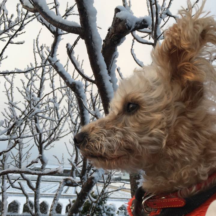 Dc461061 f2b1 42cc 9c9c 7710d54bf8f2 1515624003311