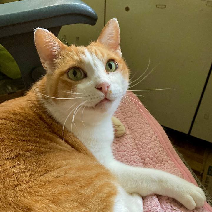 Dc468012 a112 488d 8399 3f0e7a5f97b5 1633317903905