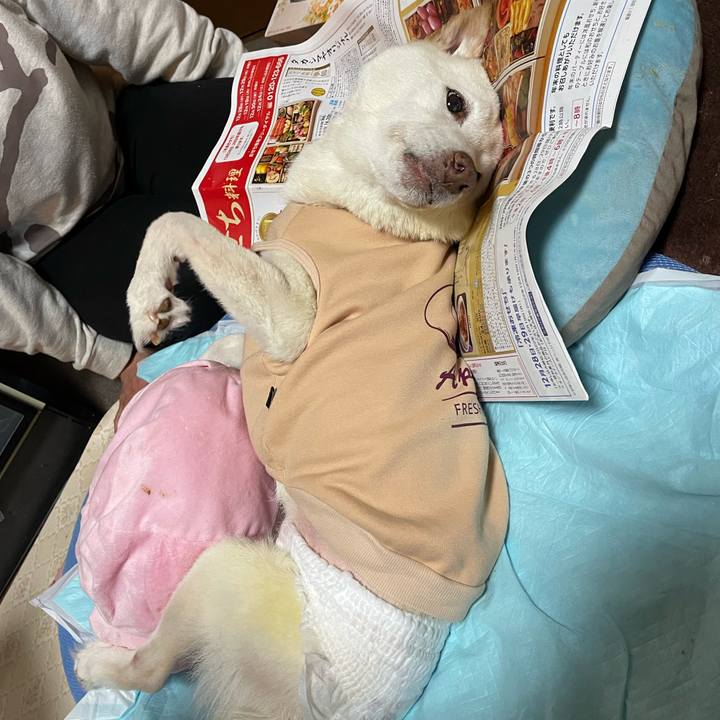 Dc468fca 9061 4bc3 aa9c 960f29a62dd1 1669634181193