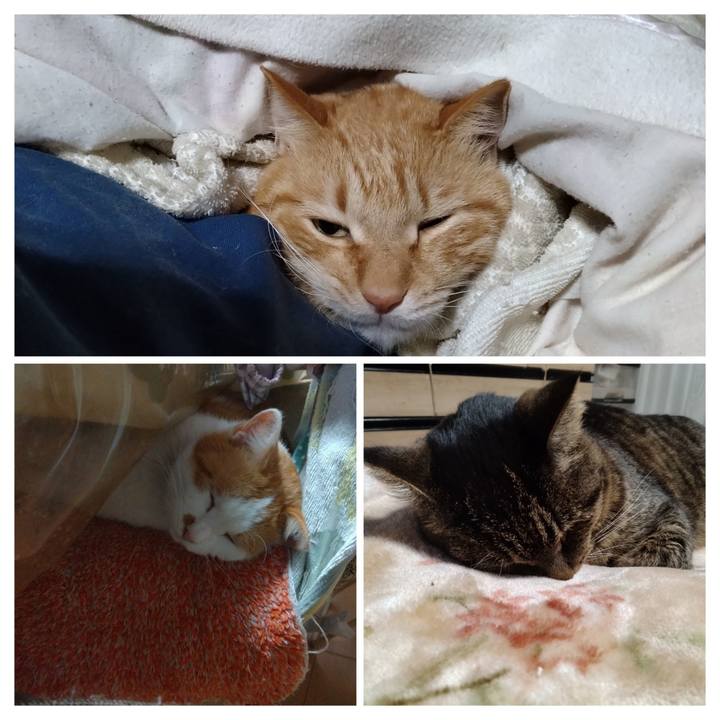 Dc46a121 a81f 47c5 a297 868c39959a5a 1773098173920