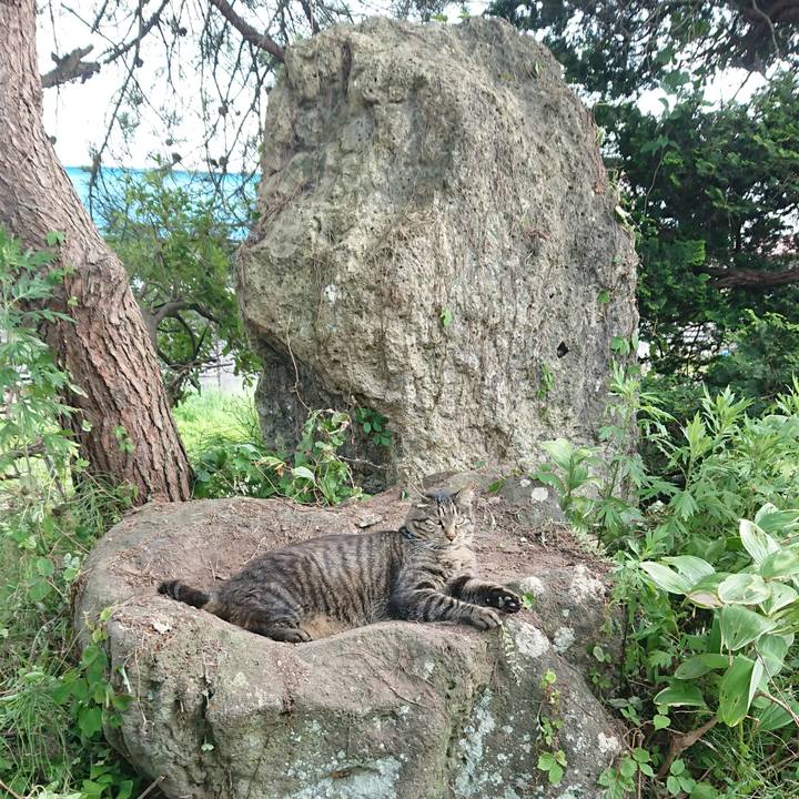 Dc46a864 e7fb 431d b3be 4a4f45c80840 1657441063350