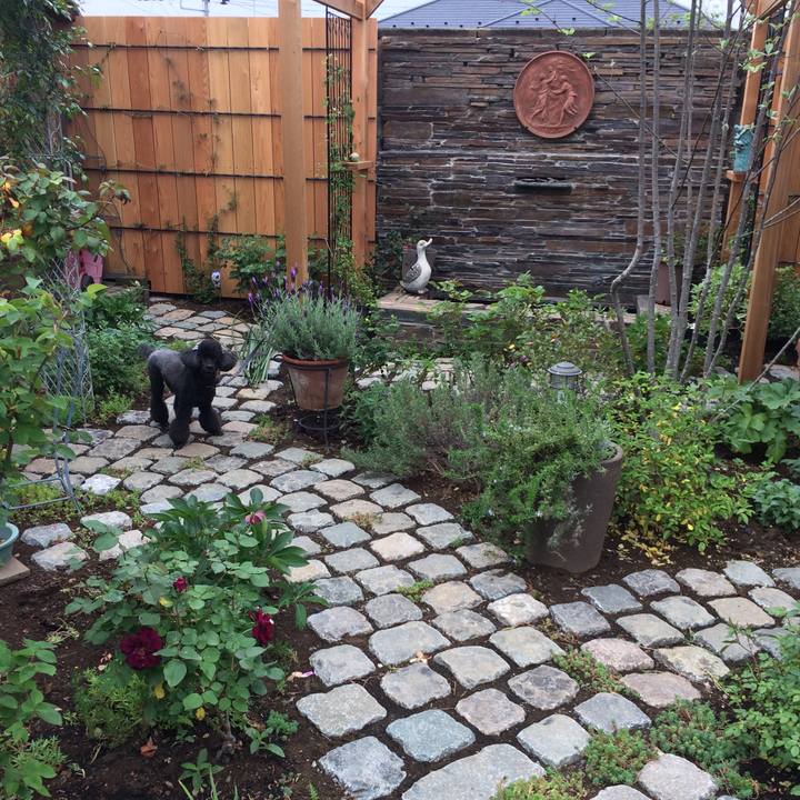 Dc46c221 42eb 45dd ac17 b183e1cac70c 1556161661756