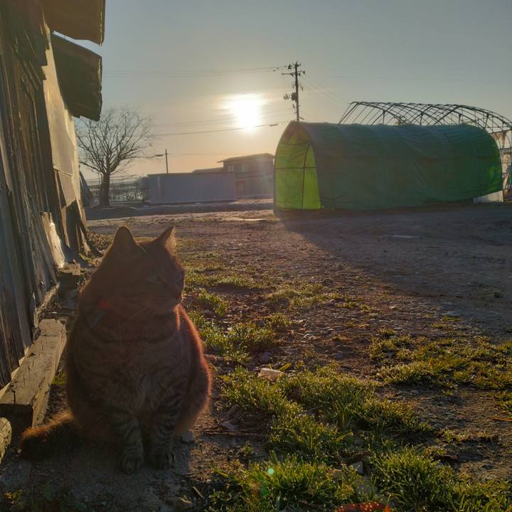 Dc46c338 faf6 4236 8b54 54b03445d1b6 1678920432235