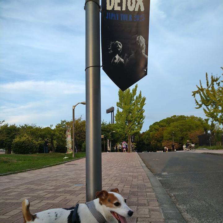 Dc46c506 c74d 4880 ae98 f7523dc23056 1757986514820