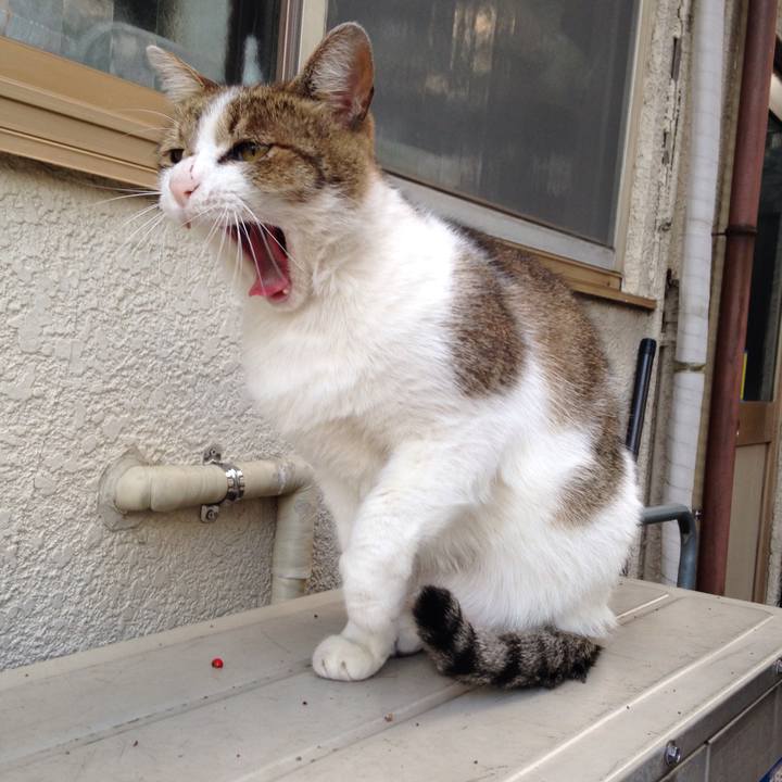 Dc46ca19 f6e3 457e 9d9a 9d71bcb3a04c 1509440078421