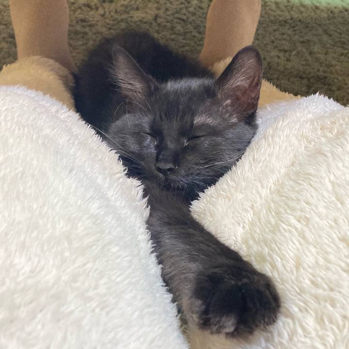 Dc46cad8 0beb 41f7 9b0f f51b1a309faa 1705922375949