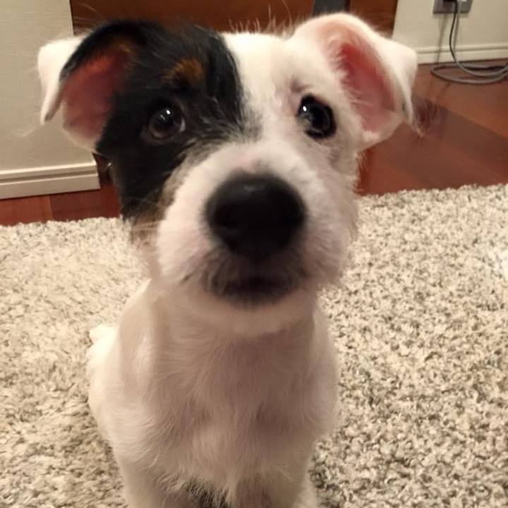 Dc470808 fb0a 4db4 9953 9e902cf0285f 1709862186261