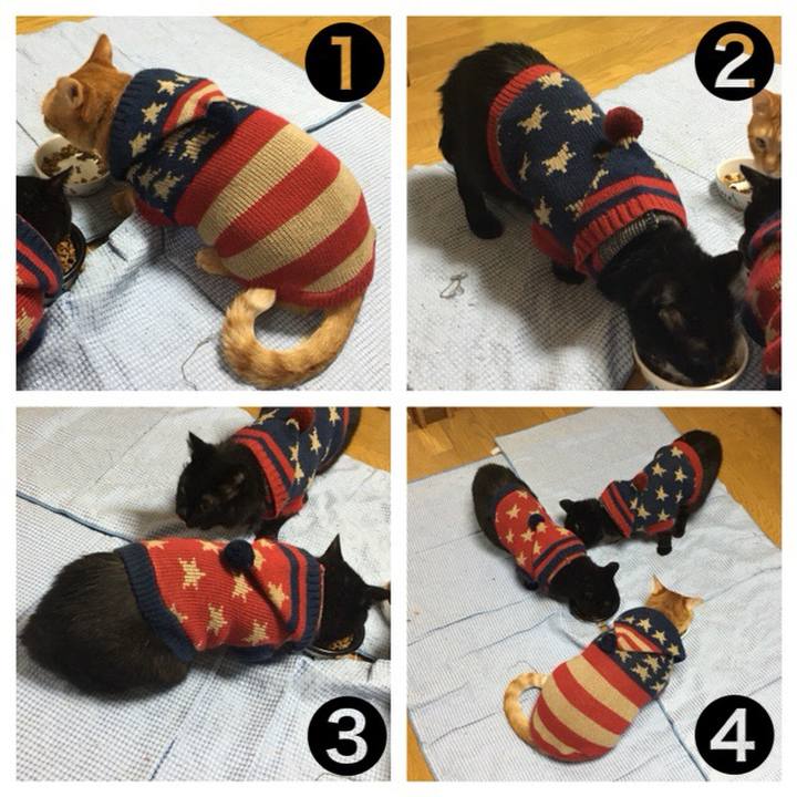 Dc471035 1ab6 4523 a0f9 0ae583106224 1539946089502