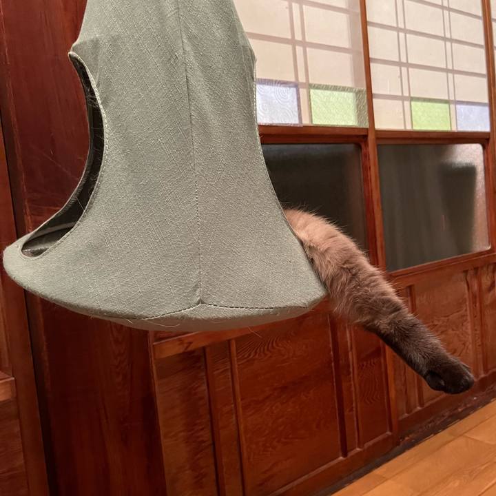 Dc471f66 86af 493b 8437 076e39636509 1634429335598