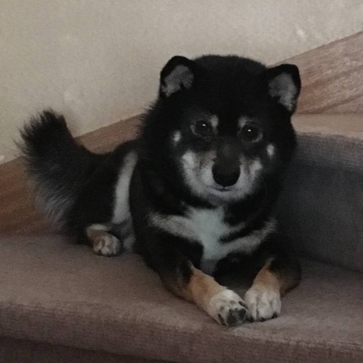 Dc47591a 3dcb 46a6 992a 022cd7832852 1513133777559